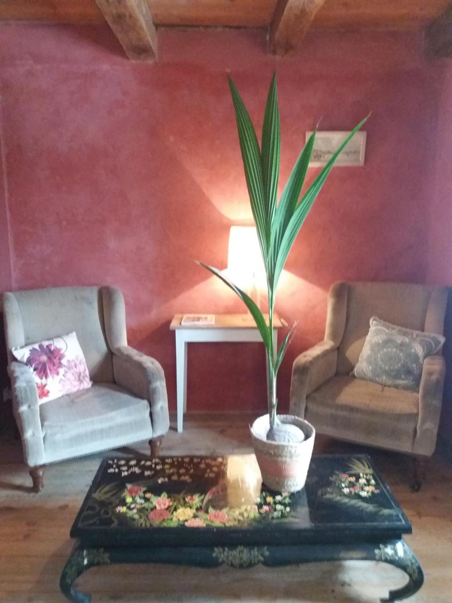 Domaine D'Angel-Berg Hotel Vezins-de-Levezou Værelse billede
